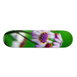 Flowers Daisies Daisy Skate Decks