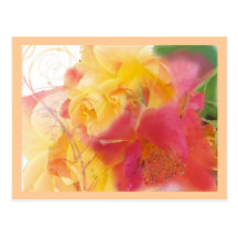 Flowers dressed in pastel post cards