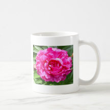 Flowers Feed Coffee Mugs