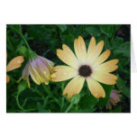 Flowers Greeting Card