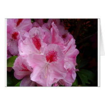 Flowers Greeting Card