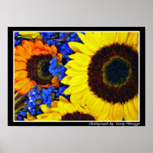 Flowers in Blooming Colours Print