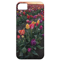flowers iPhone 5 case