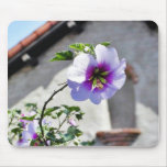 Flowers Missions Leaves Leaf Roofs Mousepads