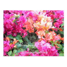 Flowers of Hawaii Post Card