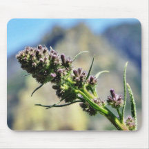 Flowers On Hill Mouse Pad