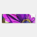 Flowers Pollen Purple Bumper Stickers