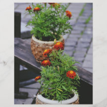 Flowers pots flyer