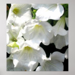 flowers print