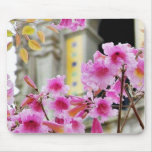 Flowers Towers Petals Arches Leaf Leaves Mouse Pads