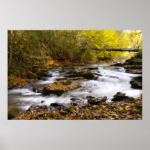 Flowing Stream in Autumn Posters
