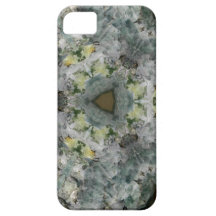 Fluorite Triangle Nov 2012 iPhone 5 Case
