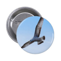 Fly Buttons