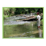Fly Fishing in Dry Run Creek, Arkansas Postcard