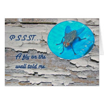 Fly on the Wall Card