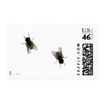 FLY stamps