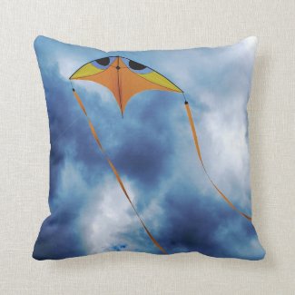 flying a kite modern pillow
