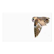 Flying barn owl business card