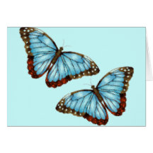 Flying Butterflies Cards