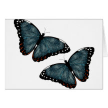 Flying Butterflies Cards