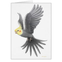 Flying Cockatiel Card