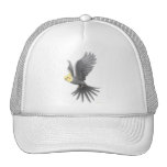 Flying Cockatiel Hat