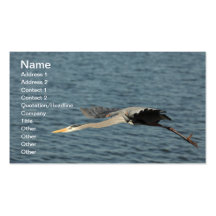 Flying Crane Business Card