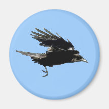 Flying Crow Birdlover Wildlife Supporter Magnet