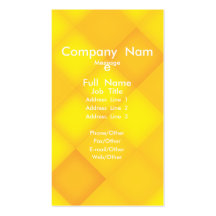 Flying Disc  Card Business Card