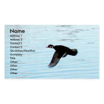 Flying Duck Business Cards