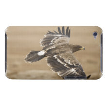 Flying Eagle Bird iTouch Case iPod Case-Mate Case