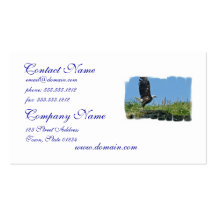 Flying Eagle Business Cards