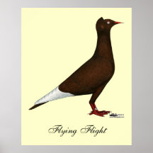 Flying Flight Cap Posters