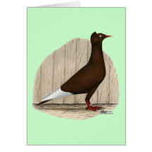 Flying Flight Red Self Greeting Cards