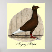 Flying Flight Red Self Poster