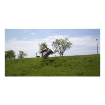 Flying Geese Photo Cards