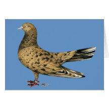 Flying Oriental Roller:  Almond Card