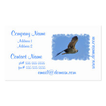 Flying Osprey Business Cards