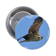 Flying Osprey Button
