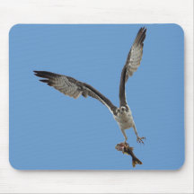 Flying Osprey & Fish 2 Wildlife Photography Mouse Pad