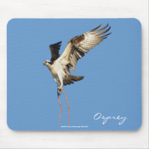 Flying Osprey (Fish Hawk) Wildlife Mousepad
