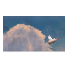 flying pig business cards
