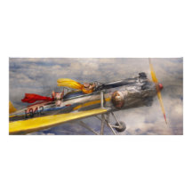 Flying Pig - Plane -The joy ride Customized Rack Card