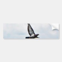 Flying Pigeon On Sky Bumper Stickers