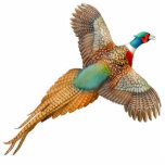 Flying Ringneck Pheasant Ornament Photo Cutouts