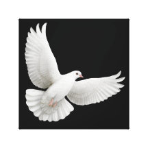Flying White Dove Wrapped Canvas Gallery Wrap Canvas
