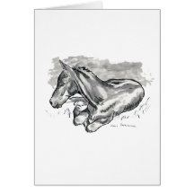 Foal Cards