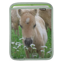 Foal Smelling Daisies iPad Sleeve