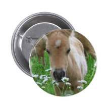 Foal Smelling Daisies Round Button