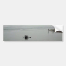Fog Fishing Bumper Stickers